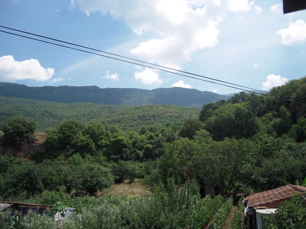 Lile Pestani Accommodation Εξωτερικό φωτογραφία