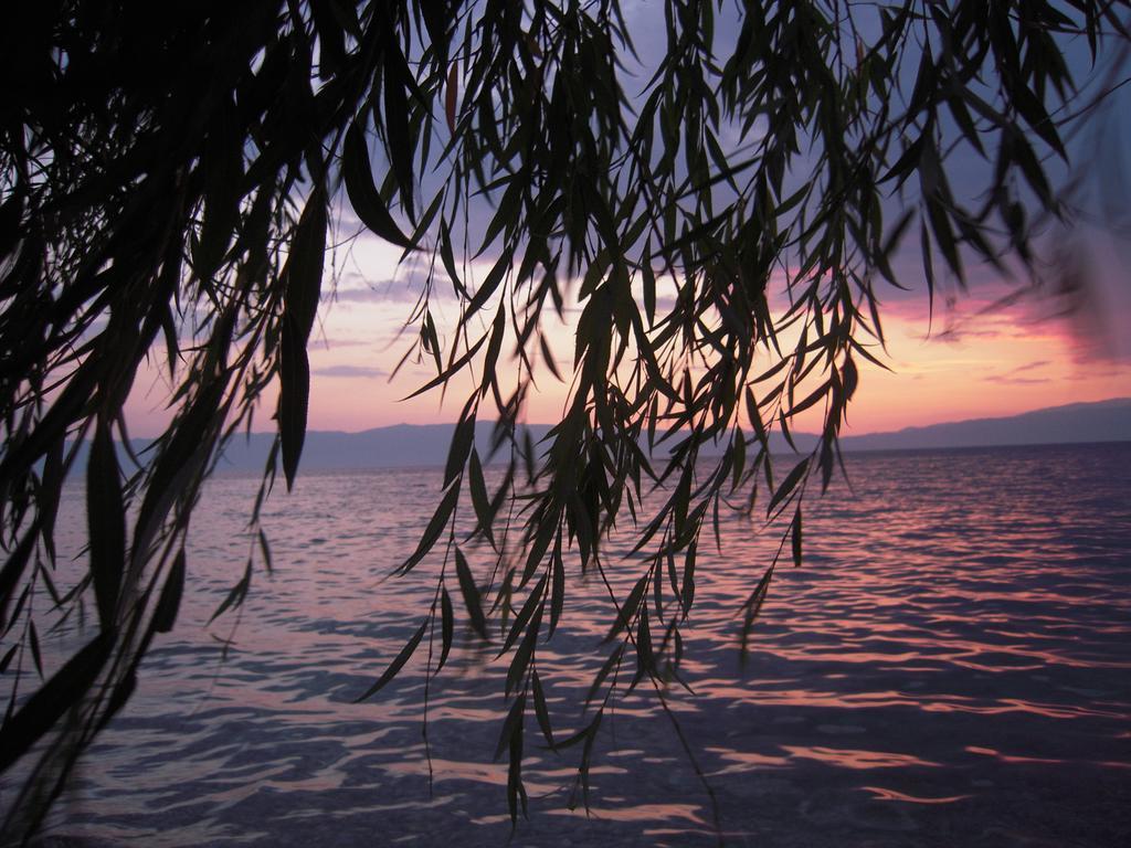 Lile Pestani Accommodation Εξωτερικό φωτογραφία