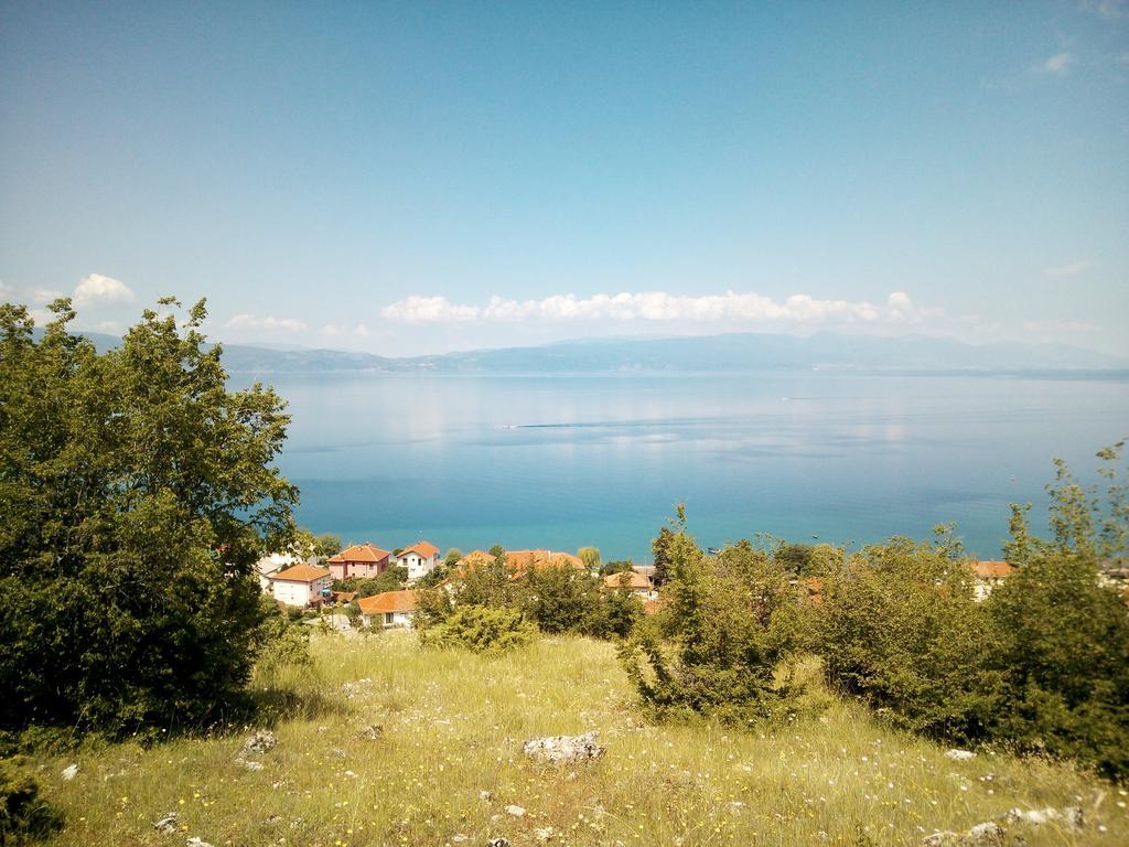 Lile Pestani Accommodation Εξωτερικό φωτογραφία