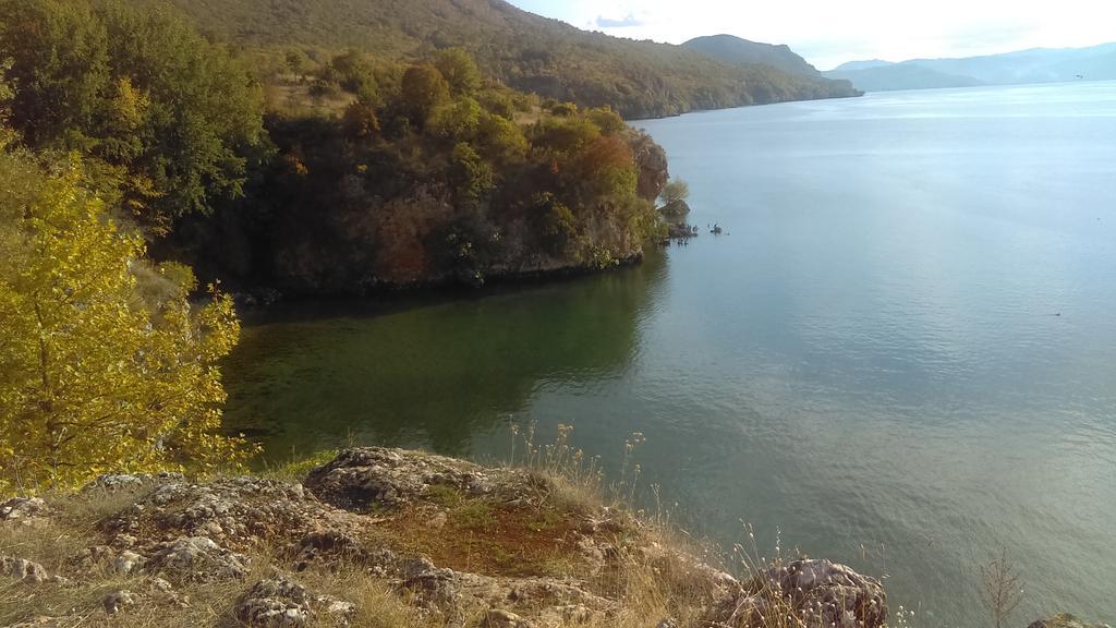 Lile Pestani Accommodation Εξωτερικό φωτογραφία